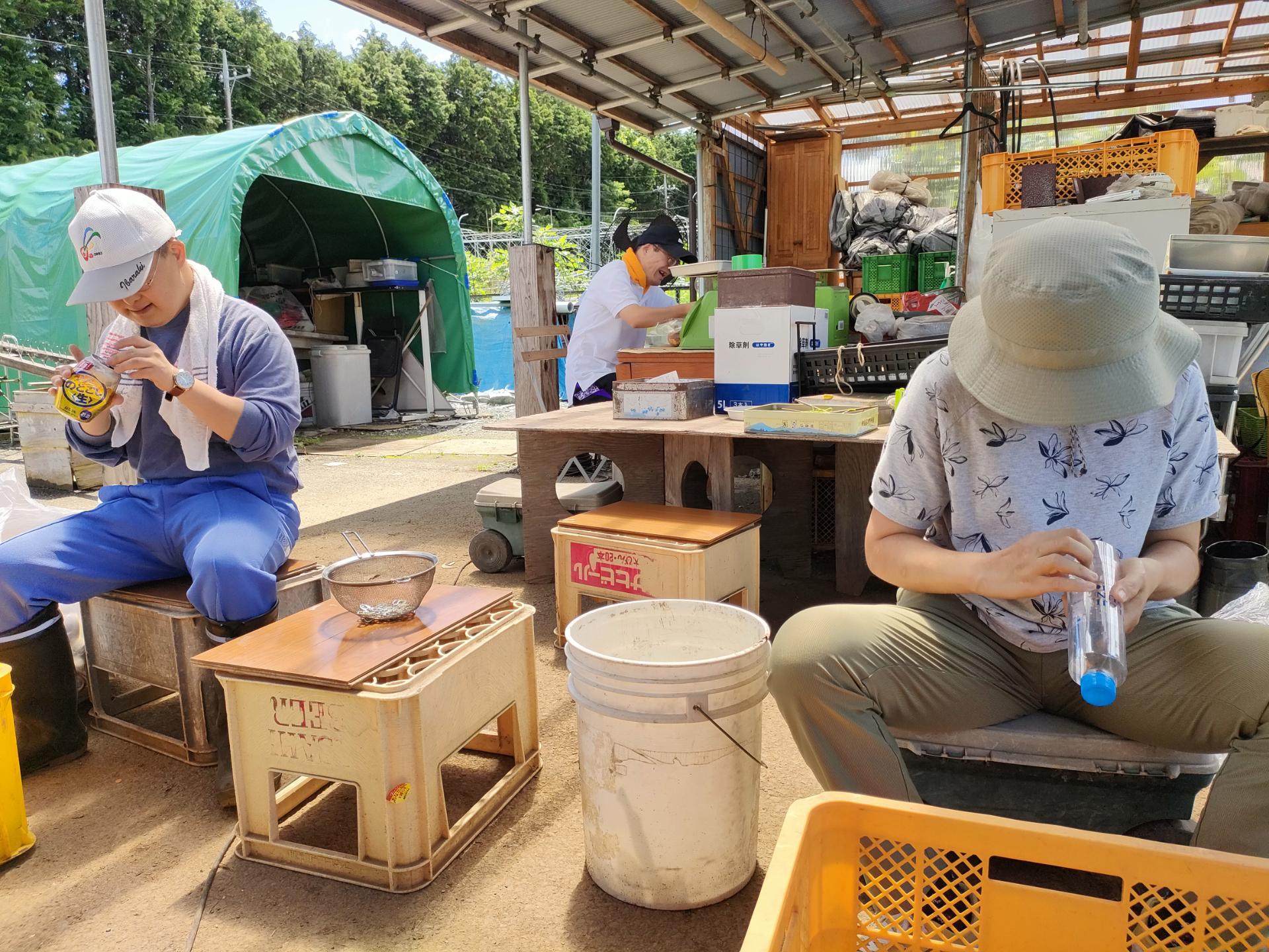 いつもの屋外作業の様子